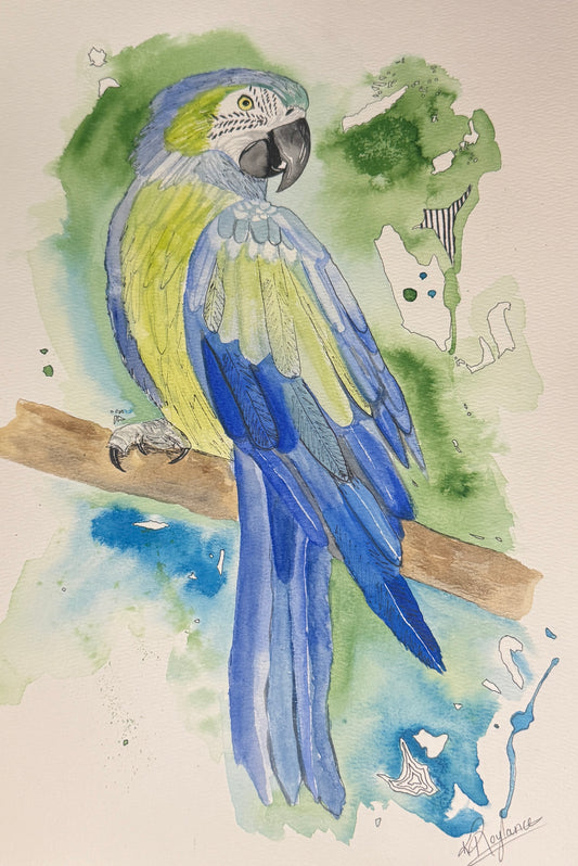 Original watercolour - A3
